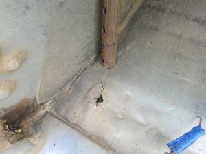 filter: 0; fileterIntensity: 0.0; filterMask: 0; brp_mask:0;
brp_del_th:null;
brp_del_sen:null;
delta:null;
module: photo;hw-remosaic: false;touch: (-1.0, -1.0);sceneMode: 8;cct_value: 0;AI_Scene: (-1, -1);aec_lux: 0.0;aec_lux_index: 0;albedo:  ;confidence:  ;motionLevel: -1;weatherinfo: null;temperature: 29;