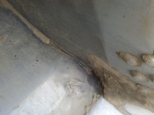 filter: 0; fileterIntensity: 0.0; filterMask: 0; brp_mask:0;
brp_del_th:null;
brp_del_sen:null;
delta:null;
module: photo;hw-remosaic: false;touch: (-1.0, -1.0);sceneMode: 8;cct_value: 0;AI_Scene: (-1, -1);aec_lux: 0.0;aec_lux_index: 0;albedo:  ;confidence:  ;motionLevel: -1;weatherinfo: null;temperature: 29;