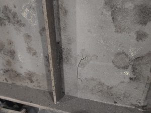 filter: 0; fileterIntensity: 0.0; filterMask: 0; brp_mask:0;
brp_del_th:null;
brp_del_sen:null;
delta:null;
module: photo;hw-remosaic: false;touch: (-1.0, -1.0);sceneMode: 5767168;cct_value: 0;AI_Scene: (-1, -1);aec_lux: 0.0;aec_lux_index: 0;albedo:  ;confidence:  ;motionLevel: -1;weatherinfo: null;temperature: 31;