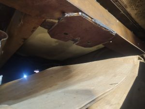 filter: 0; fileterIntensity: 0.0; filterMask: 0; brp_mask:0;
brp_del_th:null;
brp_del_sen:null;
delta:null;
module: photo;hw-remosaic: false;touch: (-1.0, -1.0);sceneMode: 5767168;cct_value: 0;AI_Scene: (-1, -1);aec_lux: 0.0;aec_lux_index: 0;albedo:  ;confidence:  ;motionLevel: -1;weatherinfo: null;temperature: 28;